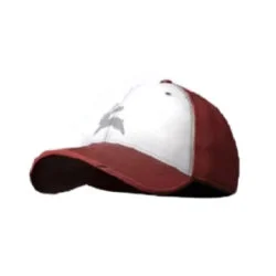 pubg skin Bunny Express Uniform Cap