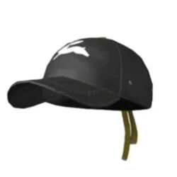 pubg skin Bunny Express Warehouse Cap