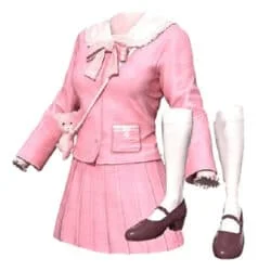 pubg skin Proper Pink Set