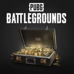 G-coin Silver Box PUBG;PUBG | G-coin Bronze Box